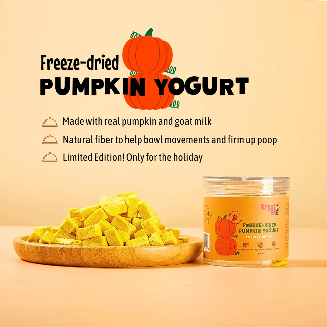 Arya Sit Freeze-Dried Pumpkin Yogurt