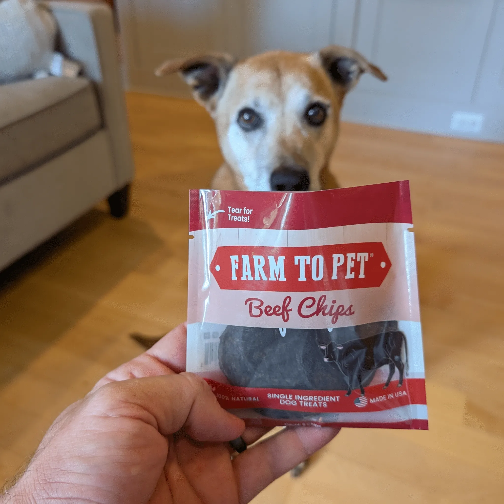 Beef Chip Snack Pack Bundles