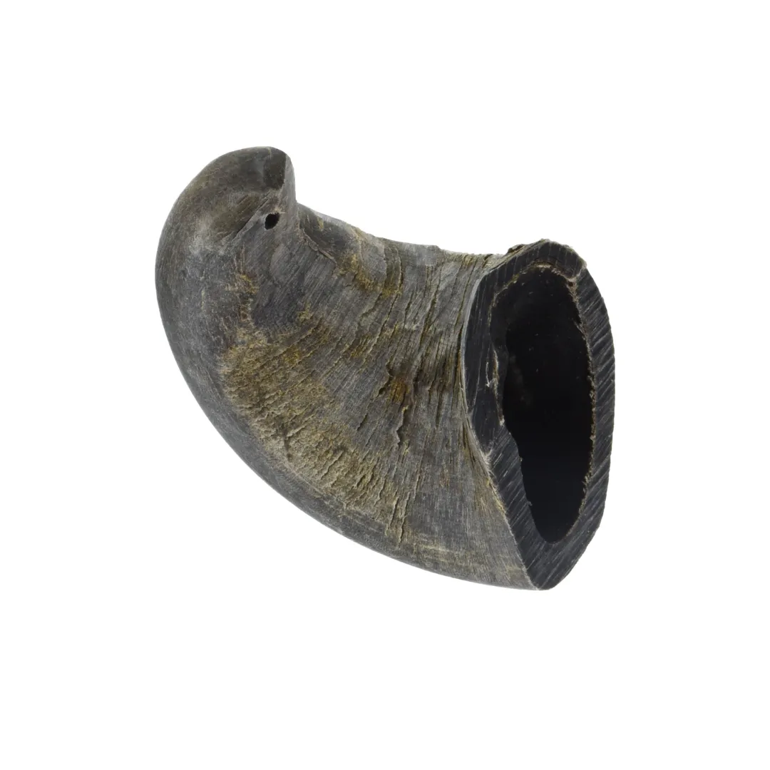 Buffalo Horn