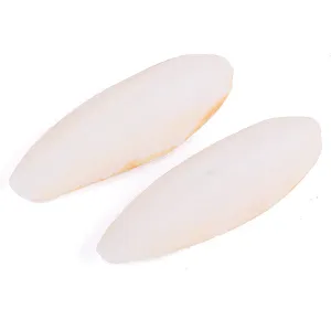 Cuttlebone Natural - Small 2 Pack