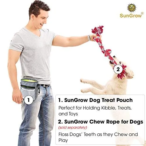 Dog Treat Training Pouch