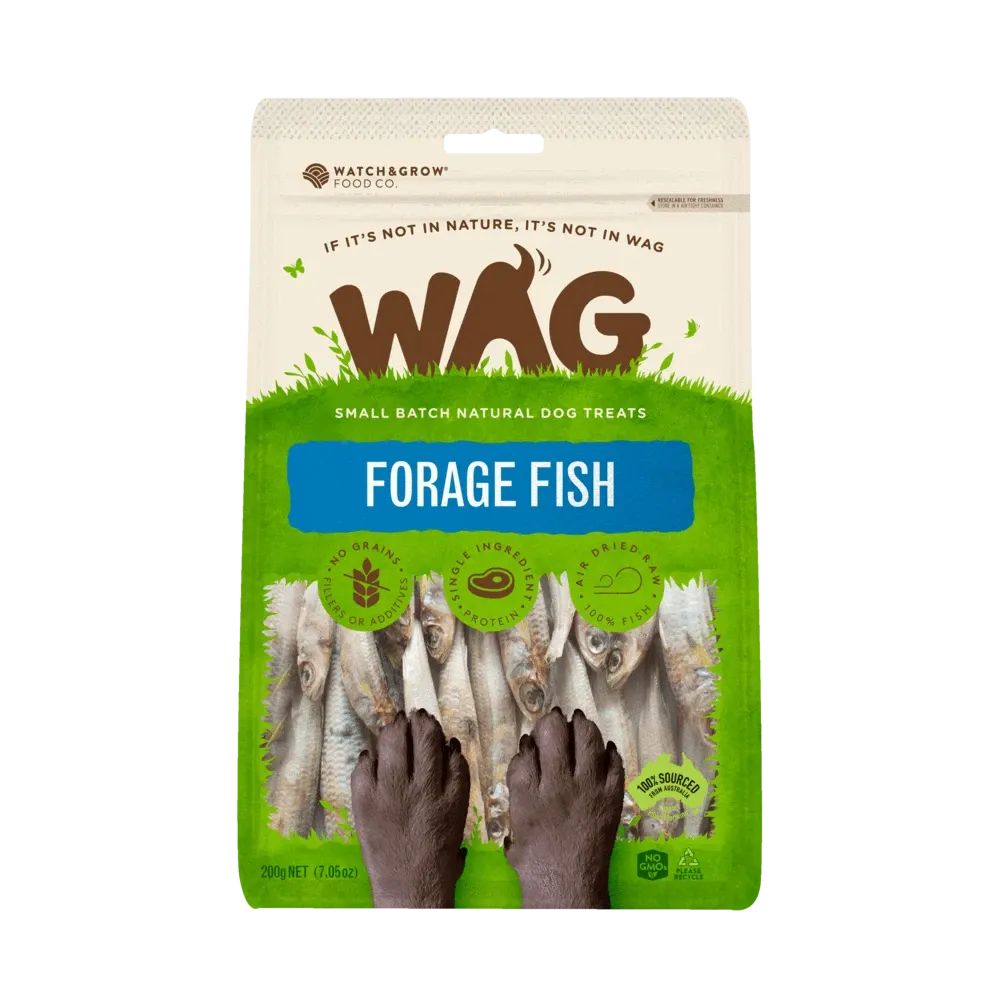 Forage Fish