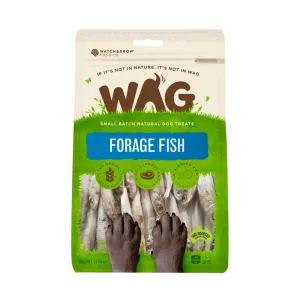 Forage Fish