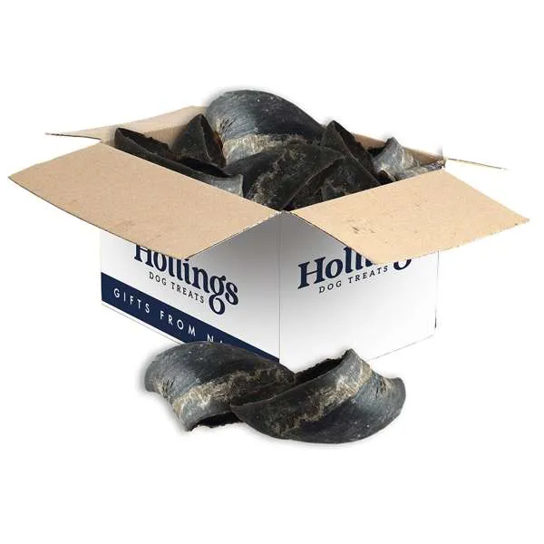 Hollings Plain Cow Hooves Box of 25