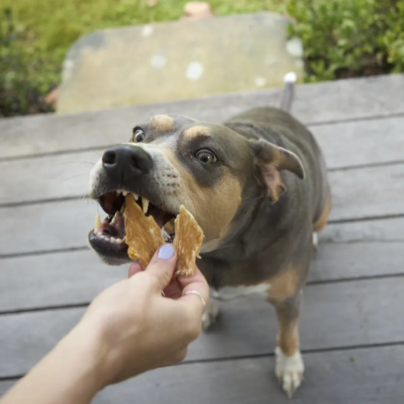 Kazoo Prime Cuts Premium Chicken Breast Treats for Pets, 100g Pack