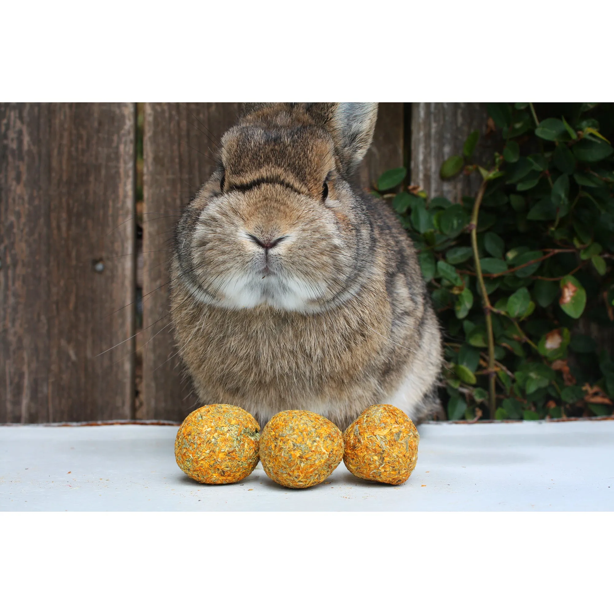 Munchers Marigold & Timothy Chew Balls