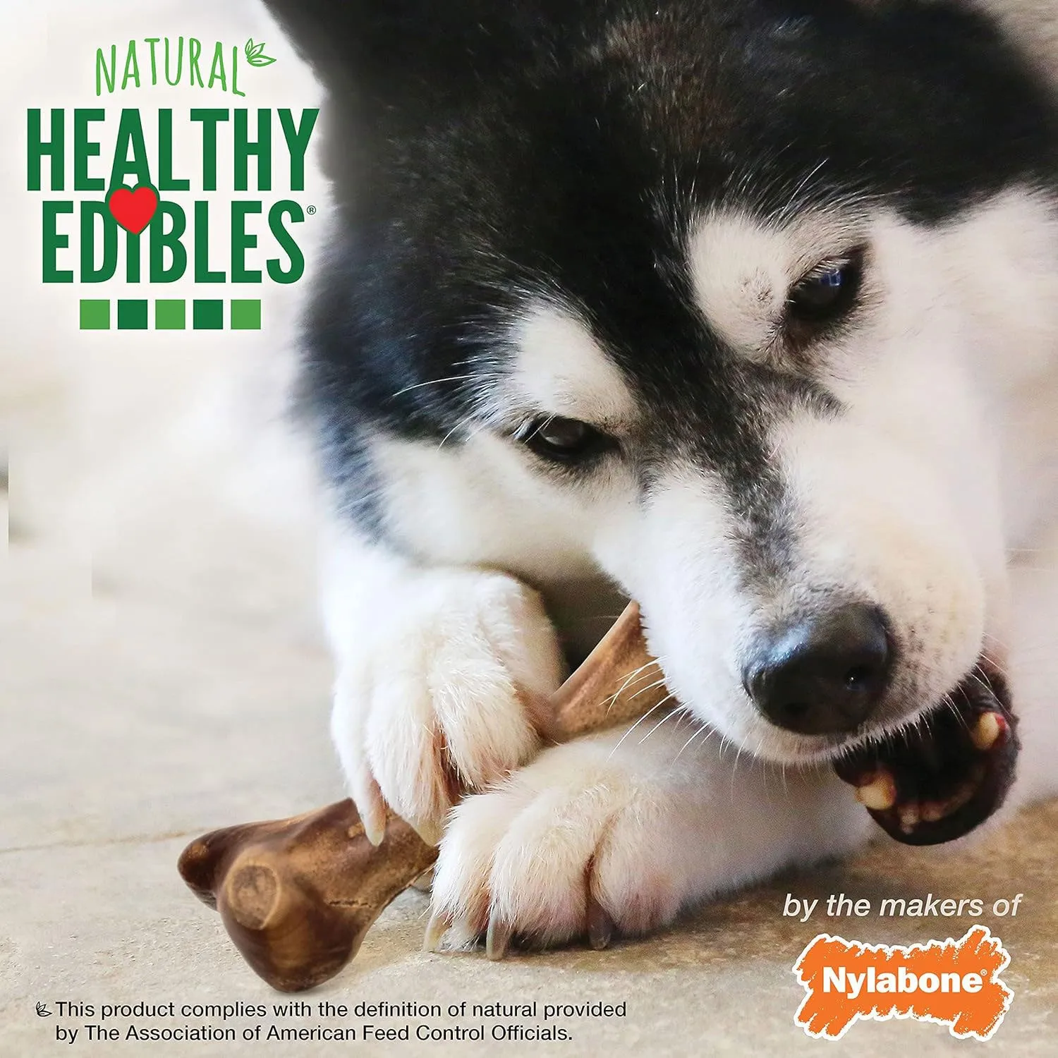 Nylabone Healthy Edibles WILD Bison Chew