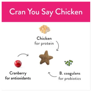 Shameless Pets Crunchy Cran You Say Chicken Cat Treats, 2.5oz