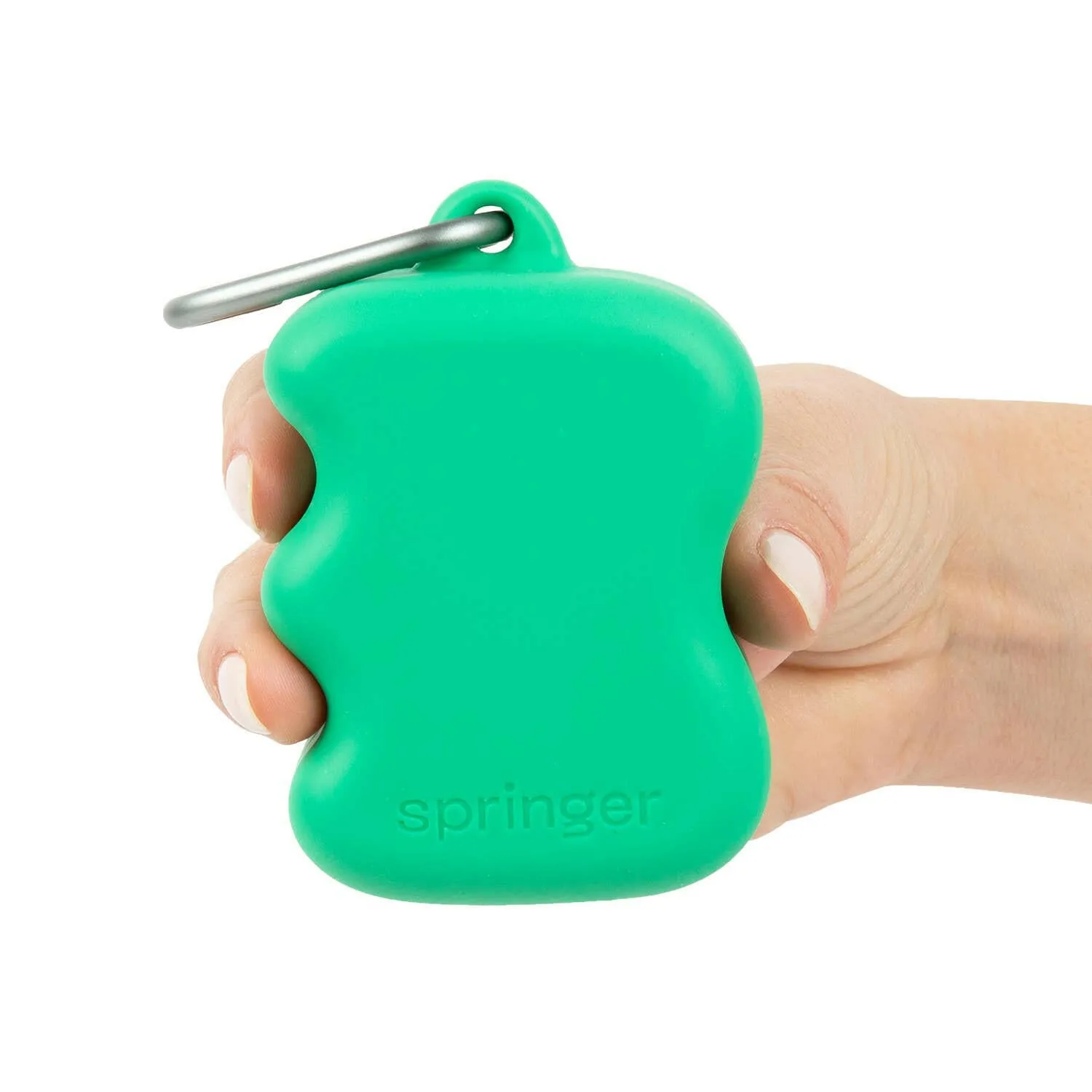 Springer Silicone Dog Treat Dispenser Pouch