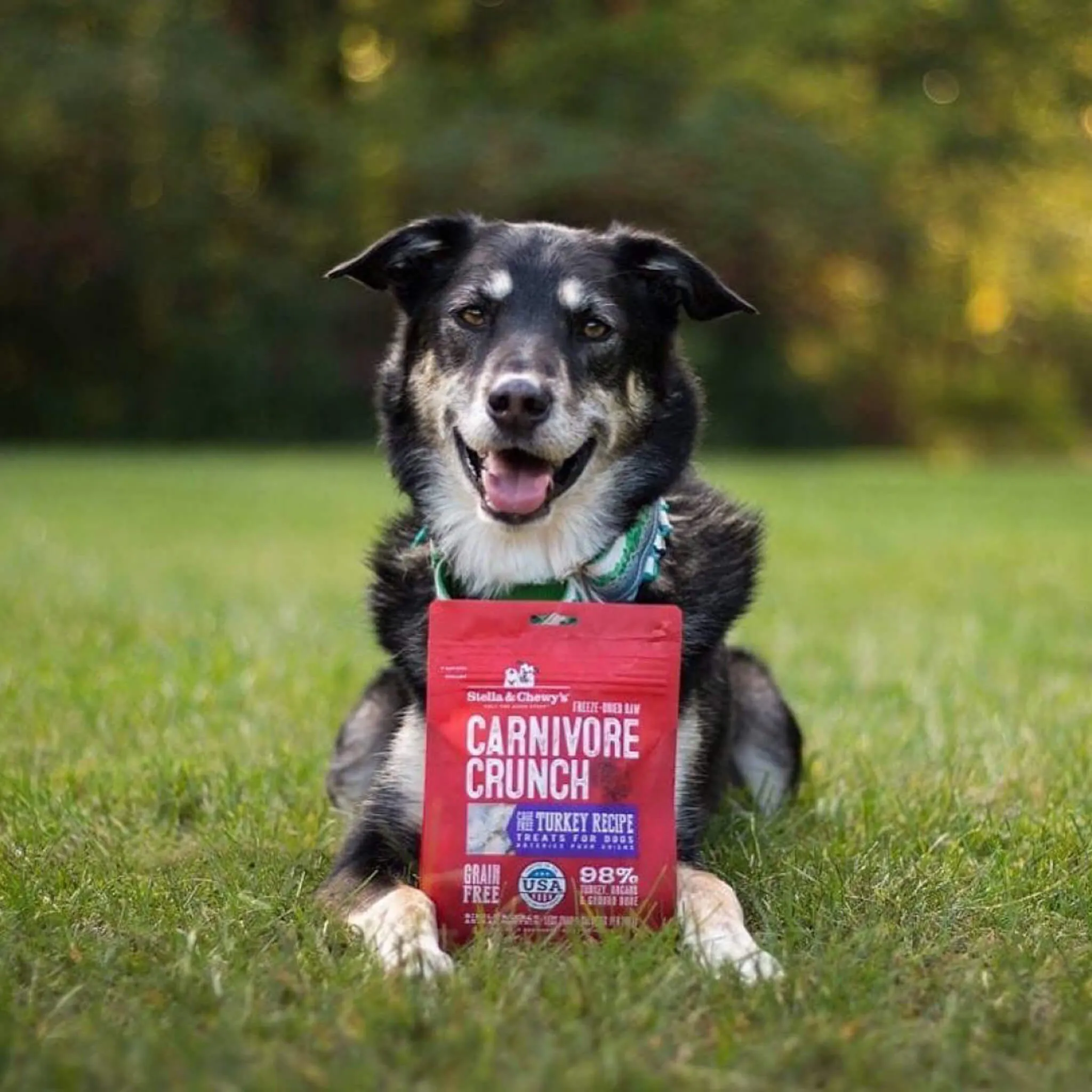 Stella & Chewy's Carnivore Crunch Training Treats