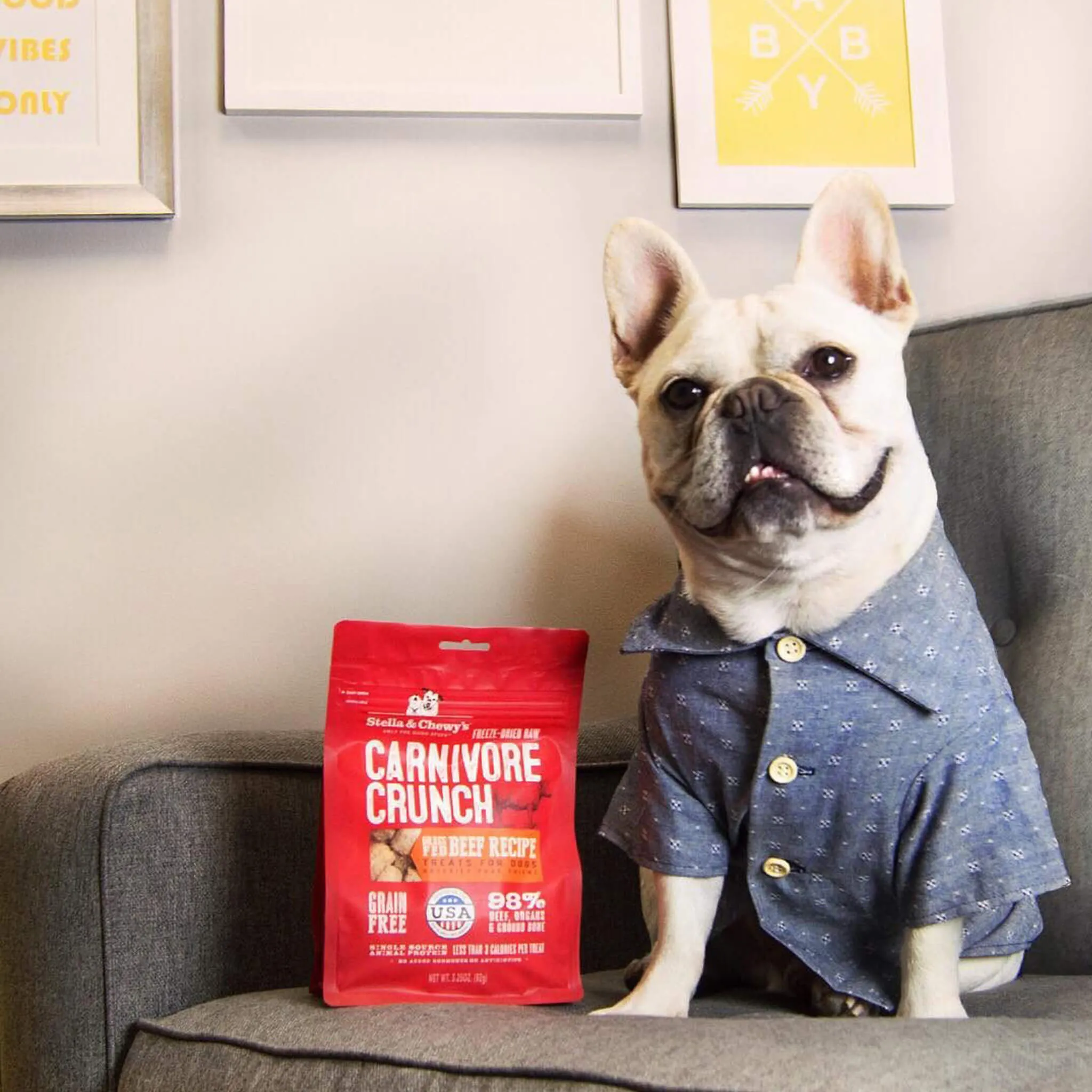 Stella & Chewy's Carnivore Crunch Training Treats