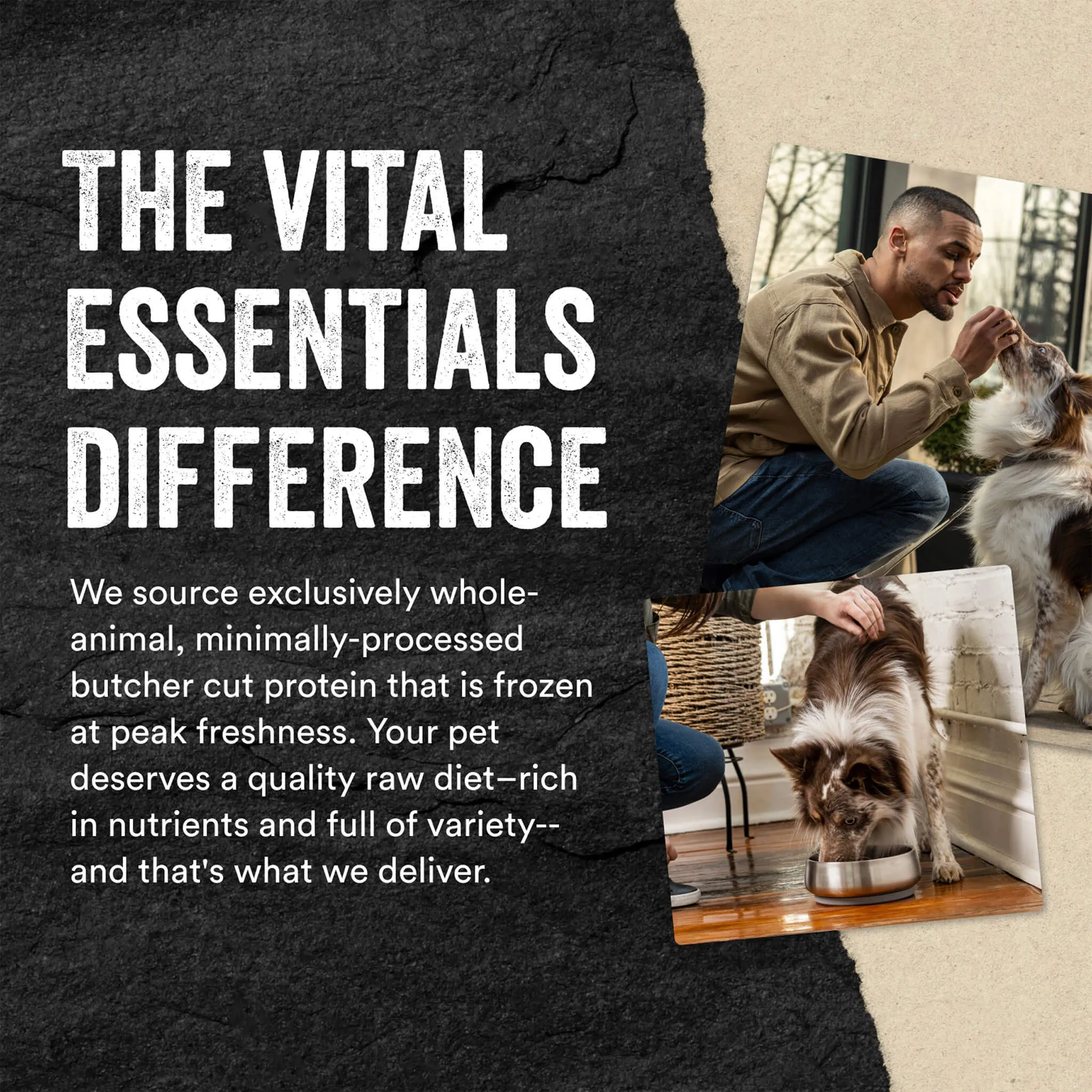 Vital Essentials Freeze-Dried Raw Treats for Dogs