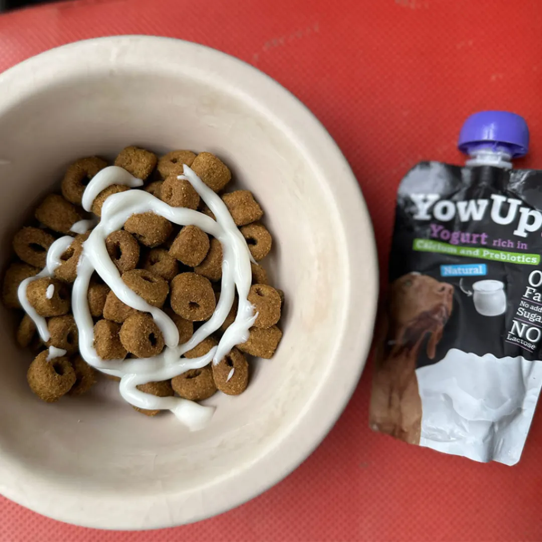 YowUp! Dog Yoghurt - Natural Prebiotics