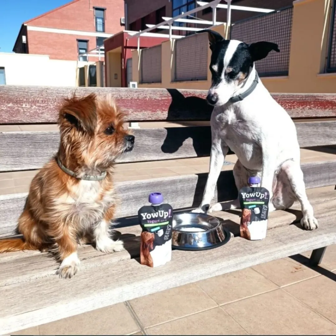 YowUp! Dog Yoghurt - Natural Prebiotics